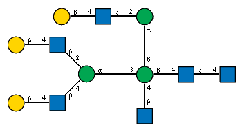bDGalp(1-4)[Ac(1-2)]bDGlcpN(1-2)[bDGalp(1-4)[Ac(1-2)]bDGlcpN(1-4)]aDManp(1-3)[bDGalp(1-4)[Ac(1-2)]bDGlcpN(1-2)aDManp(1-6),Ac(1-2)bDGlcpN(1-4)]bDManp(1-4)[Ac(1-2)]bDGlcpN(1-4)[Ac(1-2)]?DGlcpN