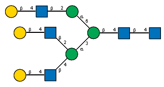 bDGalp(1-4)[Ac(1-2)]bDGlcpN(1-2)[bDGalp(1-4)[Ac(1-2)]bDGlcpN(1-4)]aDManp(1-3)[bDGalp(1-4)[Ac(1-2)]bDGlcpN(1-2)aDManp(1-6)]bDManp(1-4)[Ac(1-2)]bDGlcpN(1-4)[Ac(1-2)]?DGlcpN