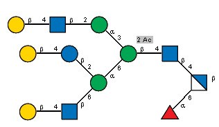 bDGalp(1-4)[Ac(1-2)]bDGlcpN(1-2)aDManp(1-3)[bDGalp(1-4)bDGlcp(1-2)[bDGalp(1-4)[Ac(1-2)]bDGlcpN(1-6)]aDManp(1-6),Ac(1-2)]bDManp(1-4)[Ac(1-2)]bDGlcpN(1-4)[aLFucp(1-6)]bDGlcpN