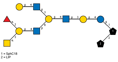bDGalp(1-4)[Ac(1-2)]bDGlcpN(1-3)[aLFucp(1-2)[Ac(1-2)aDGalpN(1-3)]bDGalp(1-4)[Ac(1-2)]bDGlcpN(1-6)]bDGalp(1-4)[Ac(1-2)]bDGlcpN(1-3)bDGalp(1-4)bDGlcp(1-1)[LIP(1-2)]xXSphC18