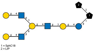 bDGalp(1-4)[Ac(1-2)]bDGlcpN(1-3)[bDGalp(1-4)[Ac(1-2)]bDGlcpN(1-6)]bDGalp(1-4)[Ac(1-2)]bDGlcpN(1-3)bDGalp(1-4)bDGlcp(1-1)[LIP(1-2)]xXSphC18