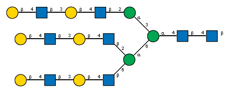 bDGalp(1-4)[Ac(1-2)]bDGlcpN(1-3)bDGalp(1-4)[Ac(1-2)]bDGlcpN(1-2)aDManp(1-3)[bDGalp(1-4)[Ac(1-2)]bDGlcpN(1-3)bDGalp(1-4)[Ac(1-2)]bDGlcpN(1-2)[bDGalp(1-4)[Ac(1-2)]bDGlcpN(1-3)bDGalp(1-4)[Ac(1-2)]bDGlcpN(1-6)]aDManp(1-6)]aDManp(1-4)[Ac(1-2)]bDGlcpN(1-4)[Ac(1-2)]bDGlcpN