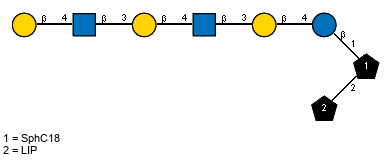 bDGalp(1-4)[Ac(1-2)]bDGlcpN(1-3)bDGalp(1-4)[Ac(1-2)]bDGlcpN(1-3)bDGalp(1-4)bDGlcp(1-1)[LIP(1-2)]xXSphC18