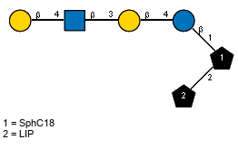 bDGalp(1-4)[Ac(1-2)]bDGlcpN(1-3)bDGalp(1-4)bDGlcp(1-1)[LIP(1-2)]xXSphC18