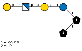 bDGalp(1-4)bDGlcpN(1-3)bDGalp(1-4)?DGlcp(1-1)[LIP(1-2)]xXSphC18