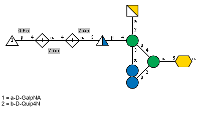bDGlcp(1-2)[aDGalpN(1-2)[Fo(1-4)bDQuip4N(1-4)[Ac(1-2)]aDGalpNA(1-4)[Ac(1-2)]aDGalpNA(1-3)[Ac(1-2)]bDQuipN(1-4),aDGlcp(1-3)]bDManp(1-4)]aDManp(1-5)aXKdop