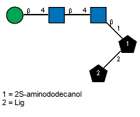bDManp(1-4)[Ac(1-2)]bDGlcpN(1-4)[Ac(1-2)]bDGlcpN(1-1)[lXLig(1-2)]Subst // Subst = 2S-aminododecanol = SMILES O{1}C{2}[C@@H](N)CCCCCCCCCC