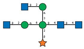 bDXylp(1-2)[Ac(1-2)bDGlcpN(1-2)aDManp(1-6),Ac(1-2)bDGlcpN(1-2)aDManp(1-3)]bDManp(1-4)[Ac(1-2)]bDGlcpN(1-4)[Ac(1-2)]?DGlcpN