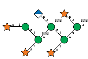 bDXylp(1-2)[Ac(1-6),bDXylp(1-2)[bDGlcpA(1-2)[Ac(1-6),bDXylp(1-2)[Ac(1-6),bDXylp(1-2)aDManp(1-3)]aDManp(1-3)]aDManp(1-3)]aDManp(1-3)]aDManp