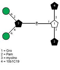 l?10b1C19(1-2)[lXPam(1-3),aDManp(1-2)[aDManp(1-4)]xXmyoIno(3-P-1)]x?Gro