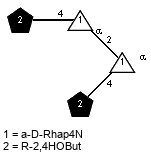 lR2,4HOBut(1-4)aDRhap4N(1-2)[lR2,4HOBut(1-4)]aDRhap4N