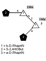 lS2,4HOBut(1-4)[Me(1-2)]aDRhap4N(1-2)[lS2,4HOBut(1-4),Me(1-1)]bDRhap4N