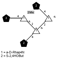 lS2,4HOBut(1-4)[Me(1-2)]aDRhap4N(1-2)[lS2,4HOBut(1-4)]aDRhap4N(1-2)[lS2,4HOBut(1-4)]aDRhap4N