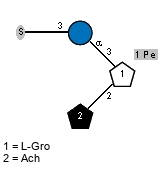 lXAch(1-2)[S-3)aDGlcp(1-3),Pe(1-1)]xLGro