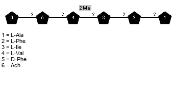 lXAch(1-2)xDPhe(1-2)[Me(1-2)]xLVal(1-2)xLIle(1-2)xLPhe(1-2)xLAla?(1-1)Me