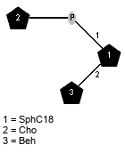 lXBeh(1-2)[xXCho(1-P-1)]xXSphC18