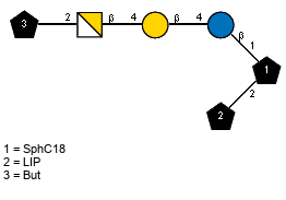 lXBut(1-2)bDGalpN(1-4)bDGalp(1-4)bDGlcp(1-1)[LIP(1-2)]xXSphC18