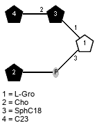 lXC23(1-2)xXSphC18(1-1)[xXCho(1-P-3)]xLGro