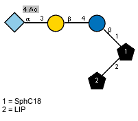 lXGc(1-5)[Ac(1-4)]aXNeup(2-3)bDGalp(1-4)bDGlcp(1-1)[LIP(1-2)]xXSphC18