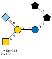 lXGc(1-5)aXNeup(2-3)[Ac(1-2)bDGalpN(1-4)]bDGalp(1-4)bDGlcp(1-1)[LIP(1-2)]xXSphC18