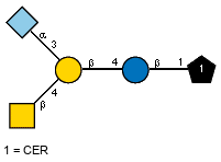 lXGc(1-5)aXNeup(2-3)[Ac(1-2)bDGalpN(1-4)]bDGalp(1-4)bDGlcp(1-1)CER