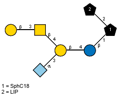lXGc(1-5)aXNeup(2-3)[bDGalp(1-3)[Ac(1-2)]bDGalpN(1-4)]bDGalp(1-4)bDGlcp(1-1)[LIP(1-2)]xXSphC18