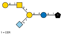 lXGc(1-5)aXNeup(2-3)[bDGalp(1-3)[Ac(1-2)]bDGalpN(1-4)]bDGalp(1-4)bDGlcp(1-1)CER