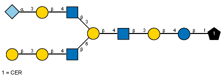lXGc(1-5)aXNeup(2-3)bDGalp(1-4)[Ac(1-2)]bDGlcpN(1-3)[bDGalp(1-3)bDGalp(1-4)[Ac(1-2)]bDGlcpN(1-6)]bDGalp(1-4)[Ac(1-2)]bDGlcpN(1-3)bDGalp(1-4)bDGlcp(1-1)CER