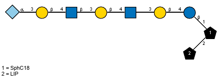 lXGc(1-5)aXNeup(2-3)bDGalp(1-4)[Ac(1-2)]bDGlcpN(1-3)bDGalp(1-4)[Ac(1-2)]??GlcpN(1-3)bDGalp(1-4)bDGlcp(1-1)[LIP(1-2)]xXSphC18