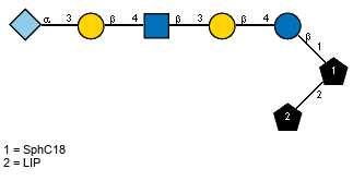 lXGc(1-5)aXNeup(2-3)bDGalp(1-4)[Ac(1-2)]bDGlcpN(1-3)bDGalp(1-4)bDGlcp(1-1)[LIP(1-2)]xXSphC18