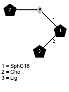 lXLig(1-2)[xXCho(1-P-1)]xXSphC18
