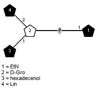 lXLin(1-2)[Subst(1-1)]xDGro(3-P-1)xXEtN // Subst = hexadecenol = SMILES CCCCCCCCCCCCCC/C={1}C/O