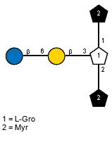 lXMyr(1-1)[bDGlcp(1-6)bDGalp(1-3),lXMyr(1-2)]xLGro