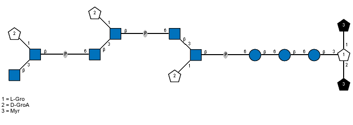 lXMyr(1-1)[lDGroA(2-1)[Ac(1-2)[lDGroA(2-1)[Ac(1-2)[lDGroA(2-1)[Ac(1-2)bDGlcpN(1-3),Ac(1-2)]bDGlcpN(6-P-6)]bDGlcpN(1-3),Ac(1-2)]bDGlcpN(6-P-6)]bDGlcpN(1-3),Ac(1-2)]bDGlcpN(6-P-6)bDGlcp(1-6)bDGlcp(1-6)bDGlcp(1-3),lXMyr(1-2)]xLGro