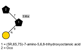 lXOco(1-7)[aDGalp(1-8),Ph(1C-6)Hx(1-1)]Subst // Subst = (5R,6S,7S)-7-amino-5,6,8-trihydroxyoctanoic acid = SMILES O{8}C{7}[C@H](N)[C@H](O)[C@H](O)CCC{1}C(O)=O