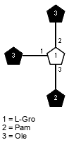lXOle(1-1)[lXPam(1-3),lXOle(1-2)]xLGro