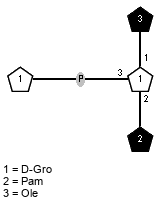 lXOle(1-1)[xDGro(1-P-3),lXPam(1-2)]xDGro