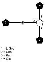lXOle(1-1)[xXCho(1-P-3),lXPam(1-2)]xLGro