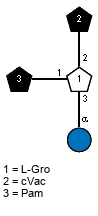 lXPam(1-1)[aDGlcp(1-3),lXcVac(1-2)]xLGro