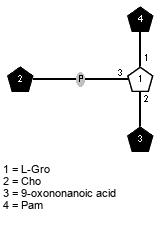 lXPam(1-1)[xXCho(1-P-3),Subst(1-2)]xLGro // Subst = 9-oxononanoic acid = SMILES C(CCCC=O)CCC{1}C(=O)O