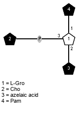 lXPam(1-1)[xXCho(1-P-3),Subst(1-2)]xLGro // Subst = azelaic acid = SMILES O=C(O)CCCCCCC{1}C(=O)O