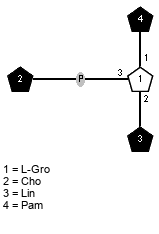 lXPam(1-1)[xXCho(1-P-3),lXLin(1-2)]xLGro