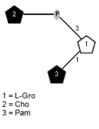 lXPam(1-1)[xXCho(1-P-3)]xLGro