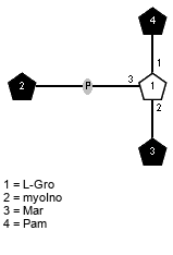lXPam(1-1)[xXmyoIno(3-P-3),lXMar(1-2)]xLGro