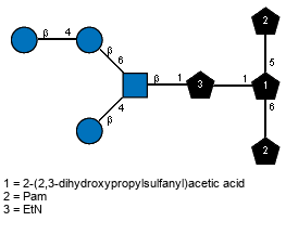 lXPam(1-5)[lXPam(1-6),bDGlcp(1-4)[bDGlcp(1-4)bDGlcp(1-6),Ac(1-2)]bDGlcpN(1-1)xXEtN(2-1)]Subst // Subst = 2-(2,3-dihydroxypropylsulfanyl)acetic acid  = SMILES O{6}C{5}C(O)CSC{1}C(O)=O