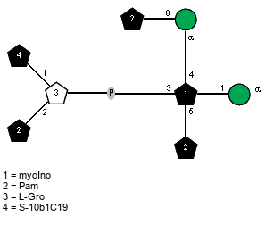 lXPam(1-6)aDManp(1-4)[lXPam(1-5),lS10b1C19(1-1)[lXPam(1-2)]xLGro(3-P-3)]xXmyoIno(2-1)aDManp