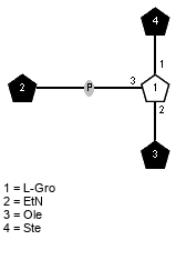 lXSte(1-1)[xXEtN(1-P-3),lXOle(1-2)]xLGro