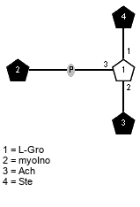 lXSte(1-1)[xXmyoIno(3-P-3),lXAch(1-2)]xLGro