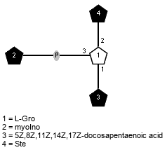 lXSte(1-2)[xXmyoIno(3-P-3),Subst(1-1)]xLGro // Subst = 5Z,8Z,11Z,14Z,17Z-docosapentaenoic acid = SMILES CCCC/C=CCC=C/C/C=CCC=C/C/C=CCCC{1}C(=O)O