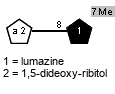 xDSuga(1-8)[Me(1C-7)]Subst // Sug = 1,5-dideoxy-ribitol = SMILES C[C@H](O)[C@@H](O)[C@@H](O){1}CO; Subst = lumazine = SMILES O=c2nc1{8}[nH]{7}ccnc1c(=O)[nH]2